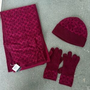 Berry Coach Logo Scarf, Hat, and Gloves Set